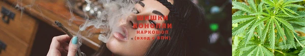 гидра Горно-Алтайск