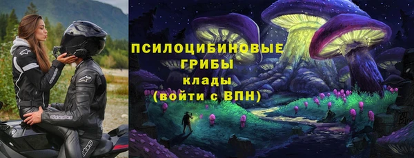 сатива Алексин