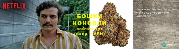 трава Алексеевка