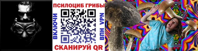 KRAKEN ссылки  Нытва  площадка какой сайт  Псилоцибиновые грибы Psilocybine cubensis 